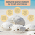 Sand Dollars 3"-3 1/2" (Set of 12)
