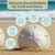 Sand Dollars 3"-3 1/2" (Set of 3)
