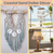 Sand Dollars 3"-3 1/2" (Set of 3)