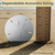 Sand Dollars 3"-3 1/2" (Set of 4)