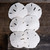 Sand dollar's side top view 