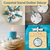 Sand Dollars 3"-3 1/2" (Set of 6)