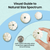 Sea Urchins 5 White Albino Sea Urchins Shells for Craft and Decor 