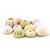 Sea Urchins 12 Assortment of Imperfect Sea Urchin Shells for Crafts and Decor