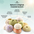 Sea Urchins 12 Assortment of Imperfect Sea Urchin Shells for Crafts and Decor