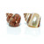 Hermit Crab Shells 1 Brown and 1 Banded Petholatus Polished Turbo Shells 2"-2.5" Hermit Crab House for Décor