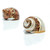 Hermit Crab Shells 1 Brown and 1 Banded Petholatus Polished Turbo Shells 2"-2.5" Hermit Crab House for Décor