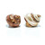 Hermit Crab Shells 1 Brown and 1 Banded Petholatus Polished Turbo Shells 2"-2.5" Hermit Crab House for Décor