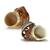 Hermit Crab Shells 1 Brown and 1 Banded Petholatus Polished Turbo Shells 2"-2.5" Hermit Crab House for Décor