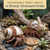 Hermit Crab Shells 1 Brown and 1 Banded Petholatus Polished Turbo Shells 2"-2.5" Hermit Crab House for Décor