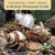 Hermit Crab Shells 1 Brown, 1 Banded, and 1 White Pearlized Turbo Shells 1.75"-2" Opening Size Approx. 1" Hermit Crab House for Décor