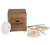 White Finger Starfish Sand Dollar Collection