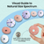 Sea Urchins 6 Pink Sea Urchin Shell & 6 Purple Sea Urchin Shell for Craft and Decor