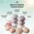 Sea Urchins 6 Pink Sea Urchin Shell & 6 Purple Sea Urchin Shell for Craft and Decor