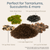 DIY Terrarium Succulent Planter Kit | Includes Hoffman Soil Mix, Charcoal, Orchid Bark, Decorative Pea Gravel Reindeer Moss