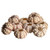 Sputnik Sea Urchin Shell | 10 Natural Sputnik 1 1/2" - 1 7/8"