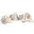 Hermit Crab Shells | Turbo Shells | 3 White Murex Shells 2.5"- 3.5" | Hermit Crab House for Décor