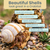 Hermit Crab Shells | Turbo Shells | 3 Banded Tonna Shells 3"- 3.5" | Hermit Crab House for Décor