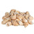 Hermit Crab Shells 24 Babylonia Spirata Shells 1 1/2"- 2 1/4" Hermit Crab House for Décor