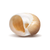 Hermit Crab Shells | Turbo Shells | 24 Assorted Natica Shells 3/4"- 1.5" | Hermit Crab House for Décor