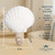 Natural Sea Shell Night Light | Real Clam Shell Night Light | Home Decor 