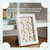 Starfish 12 Knobby Starfish White 3" to 4" Starfish for Crafts and Decor 