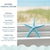 Finger Starfish | 5 Painted Blue and Green