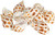 Hermit Crab Shells | Turbo Shells | 12 Babylonia Aerolata Turbo Shells 3/4"- 2" | Hermit Crab House for Décor