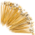 Seashell Toothpicks 100 Seashell Party Picks Shell Toothpicks for Tiki Bar and Beach Wedding