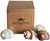 4 Assorted Turbo Shells displayed next to box
