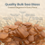 Sea Glass | Amber Sea Glass Mix | 11oz for Craft and Decor