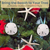Natural Sand Dollar Ornament with SeaFoam Green Ribbon 3"-4" - Set of 4