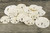 Imperfect sand dollar's side view 