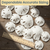 Sand Dollar | 2"-3 1/4" Imperfect Sand Dollars | 15 Defective Real Sand Dollars | Sand Dollars for Crafts