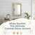 15 Uniquely Shaped Assortment White Finger Starfish 2"-5" Starfish for Crafts and Décor