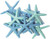 Green & Blue Assorted Star Fish top view 
