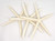  3 Pack Large White Finger Starfish top view stacked 2
