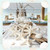 Starfish 48 White Knobby Starfish 3" to 4" Starfish for Crafts and Decor 