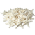 Starfish 24 white Knobby Starfish 3" to 4" Starfish for Crafts and Decor 