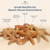 Starfish | 12 Brown Sugar Starfish 2"-3" for Crafts and Decor 