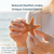 Starfish | 12 Brown Sugar Starfish 2"-3" for Crafts and Decor 