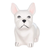  Bulldog Succulent Ceramic Planter front view