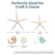 Nautical Assortment 25 Pieces White Finger Starfish, Sea Biscuit, Aqua Blue Sea Glass, Clear Sea Glass, and Pearlized Turbo Shells for Crafts
