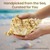Frog Shell Seashell | 1 Frog Conch Seashell 7"-8" Collector Shell Large Seashell for Home Decor 