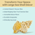 Frog Shell Seashell | 1 Frog Conch Seashell 7"-8" Collector Shell Large Seashell for Home Decor 