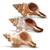 Striped Fox Seashell 3 Striped Fox Conch Seashells 4-5" 3 piece Set for Display or Decor