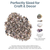 Tiny Miniature Fairy Garden Seashell Assorted Mix 750+ Tiny Small Seashells for Craft and Decoration 7.5oz 