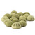 Sea Urchin 18 Green Sea Urchins 1.75-2.5" Green Sea Urchin Shells for Craft and Decor