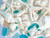 Real Beach Seashells w/ Real Starfish & Caribbean Blue Sea Glass zoomed in 2