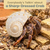 Hermit Crab Shells 3 Spotted Tonna Shells 2"-2.5" Opening Size Approx. 1.75"-2" Hermit Crab House for Décor 